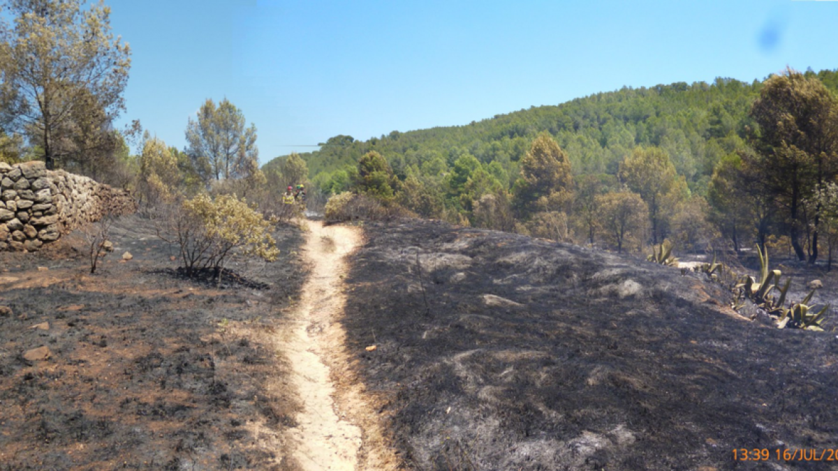 Agents Rurals conclouen que l'incendi de Sant Ramon va ser intencionat