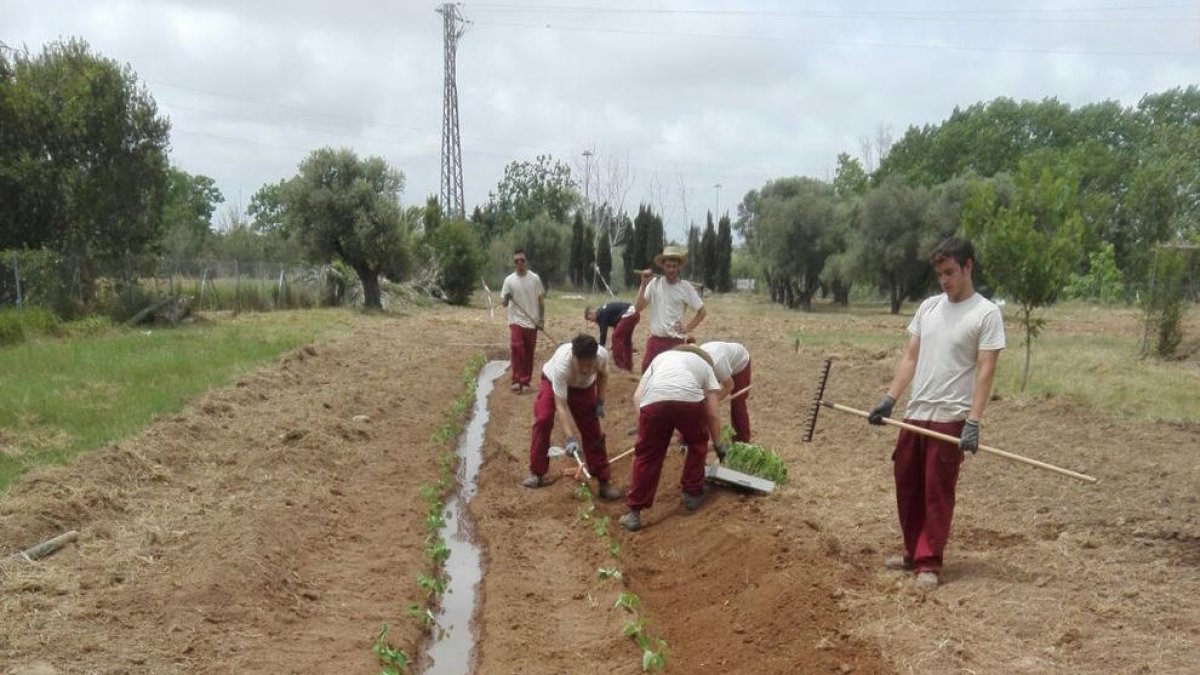 Once jóvenes se especializan en agricultura ecológica gracias a la Casa d'Oficis