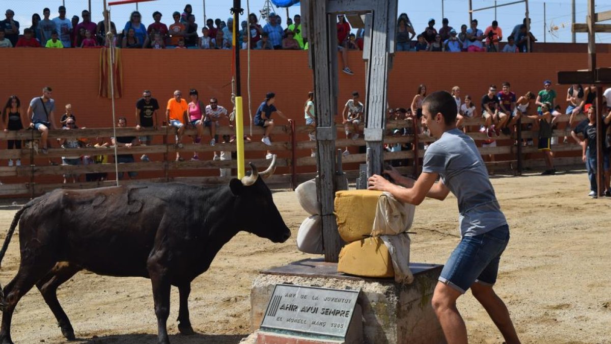 El Morell festeja 29 anys de vaquetes