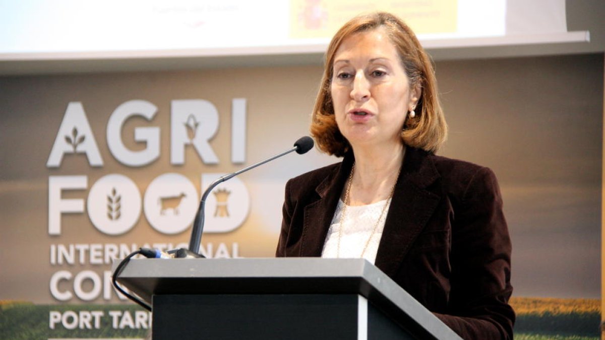 Pastor es tornarà a reunir amb la Generalitat per prendre una decisió sobre la prohibició de camions a l'N-340