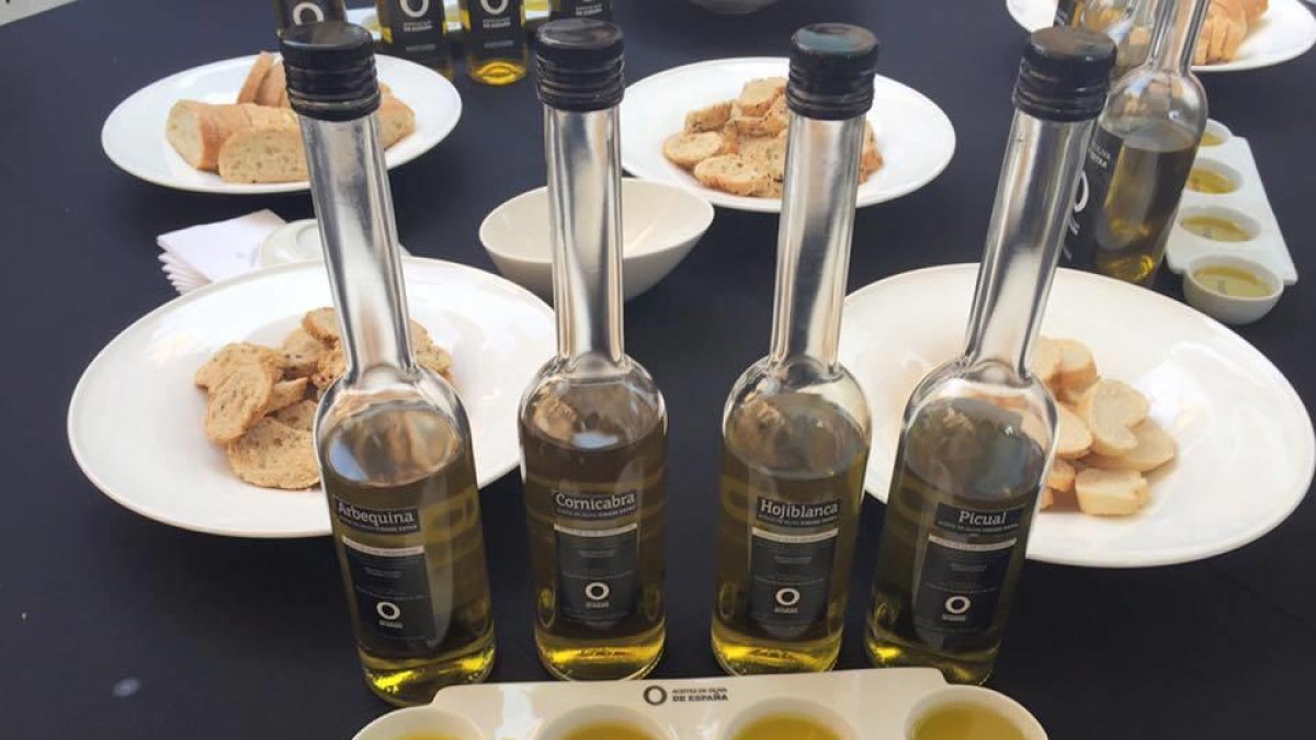 Degustació per a restauradors a la fira de l'oli DOP Terra Alta