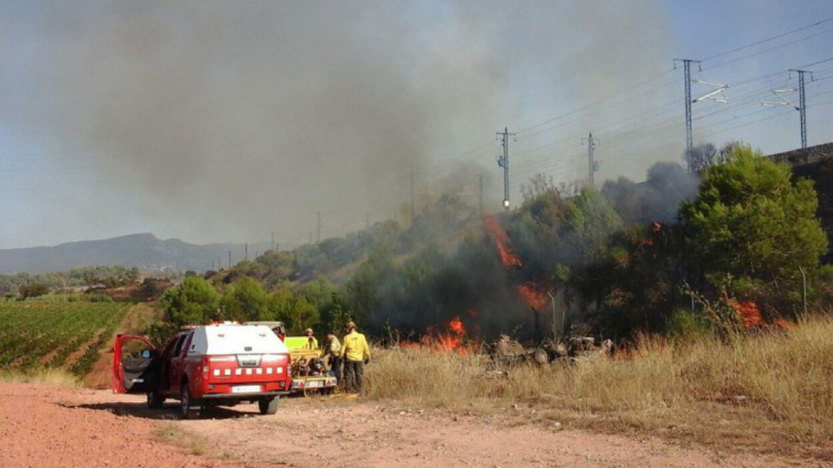 Un incendi crema al costat de les vies del tren a l'Espluga de Francolí