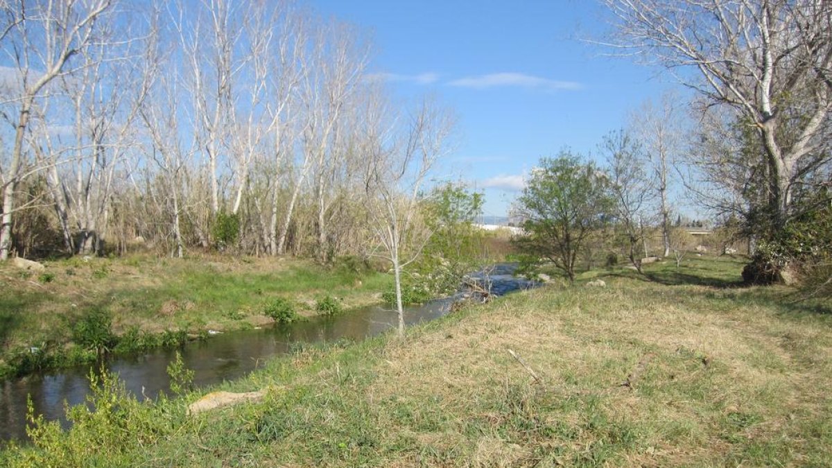 Mediterrània demana a l'Ajuntament que es comprometi a protegir l'Anella Verda