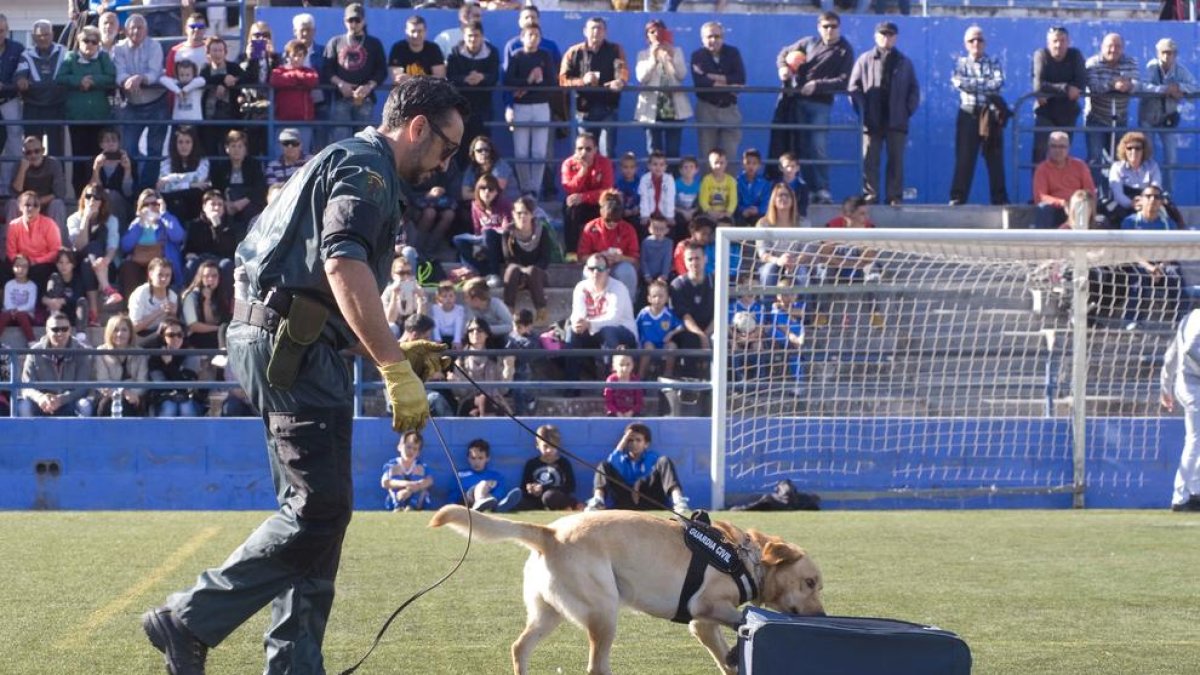 Una ordenança regularà la gestió dels deu camps de futbol municipals