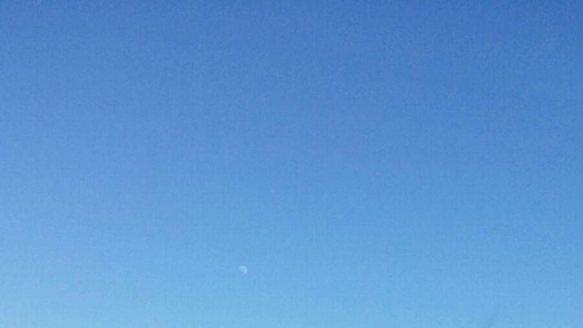 Quema un campo de olivos a la altura de las Gabarras