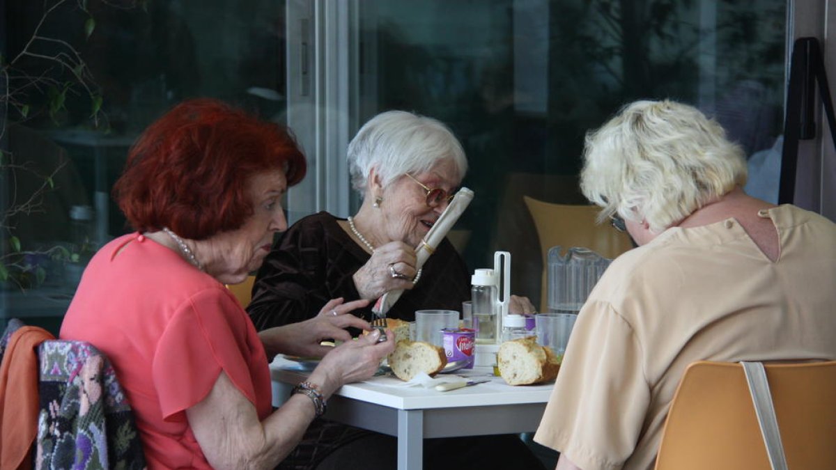 gent gran, avis, àvies,
