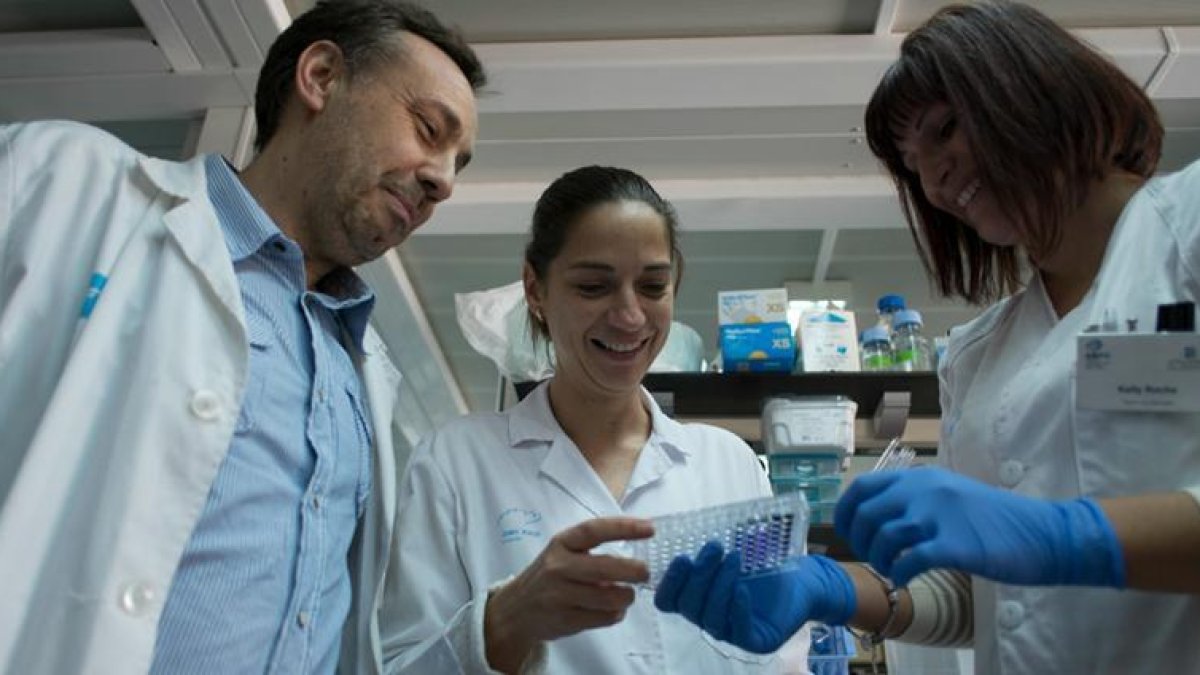 Demostren que l'obesitat altera les cèl·lules mare del teixit adipós