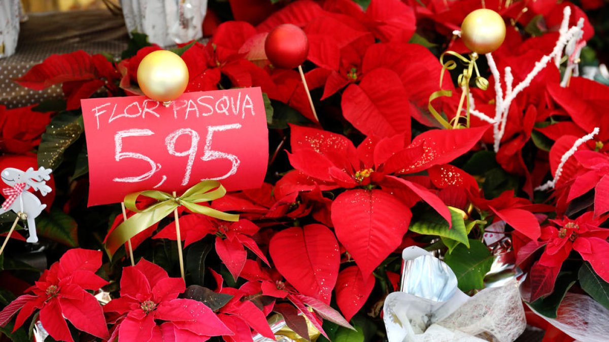 Los paradistas del mercadet de Navidad amenazan con bajar persiana
