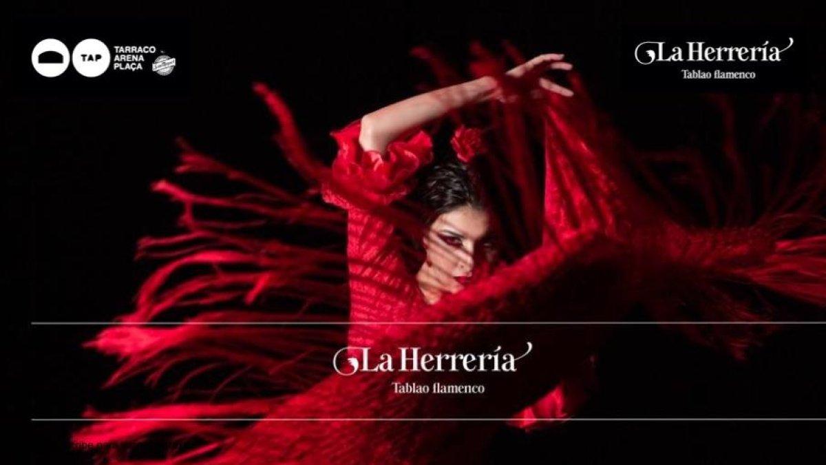 Neix un nou espai de flamenc a la Tarraco Arena Plaça