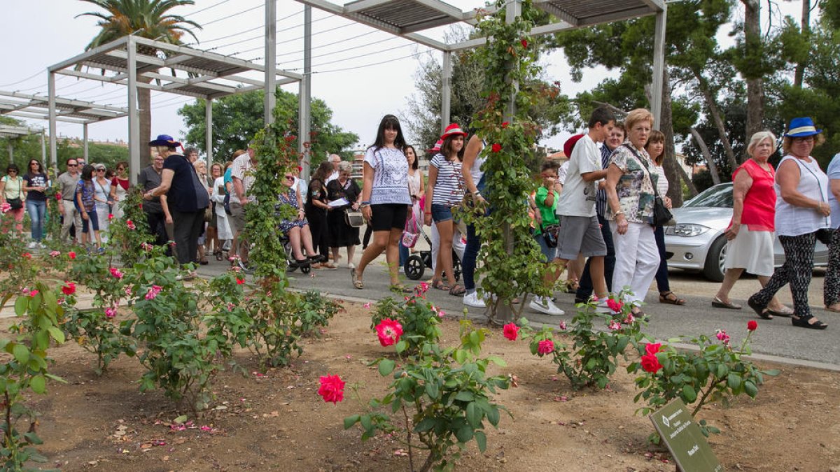 La Festa de les Flors recull 1.100 euros per a projectes al voltant de l'Asperger