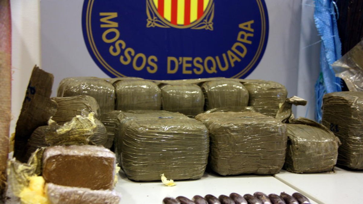 antidroga, Droga, hachís, Deltebre, Mossos D'Esquadra, operativo, organización criminal detenido