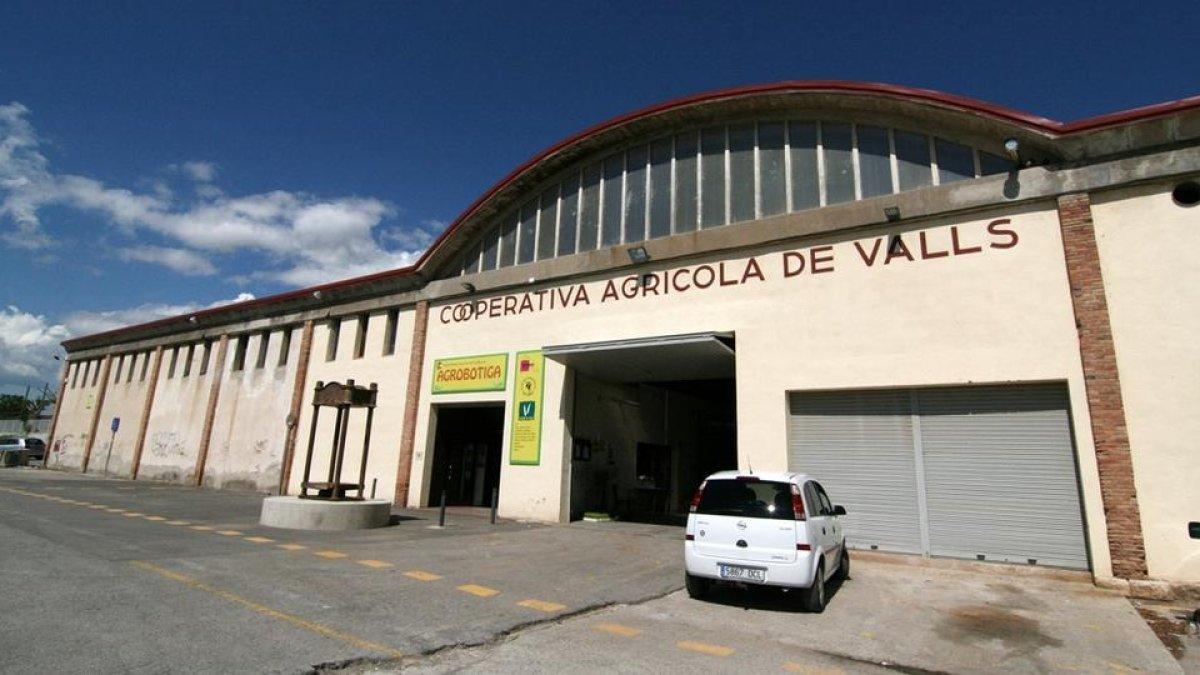 L'oli, protagonista d'una nova ruta experiencial de Valls