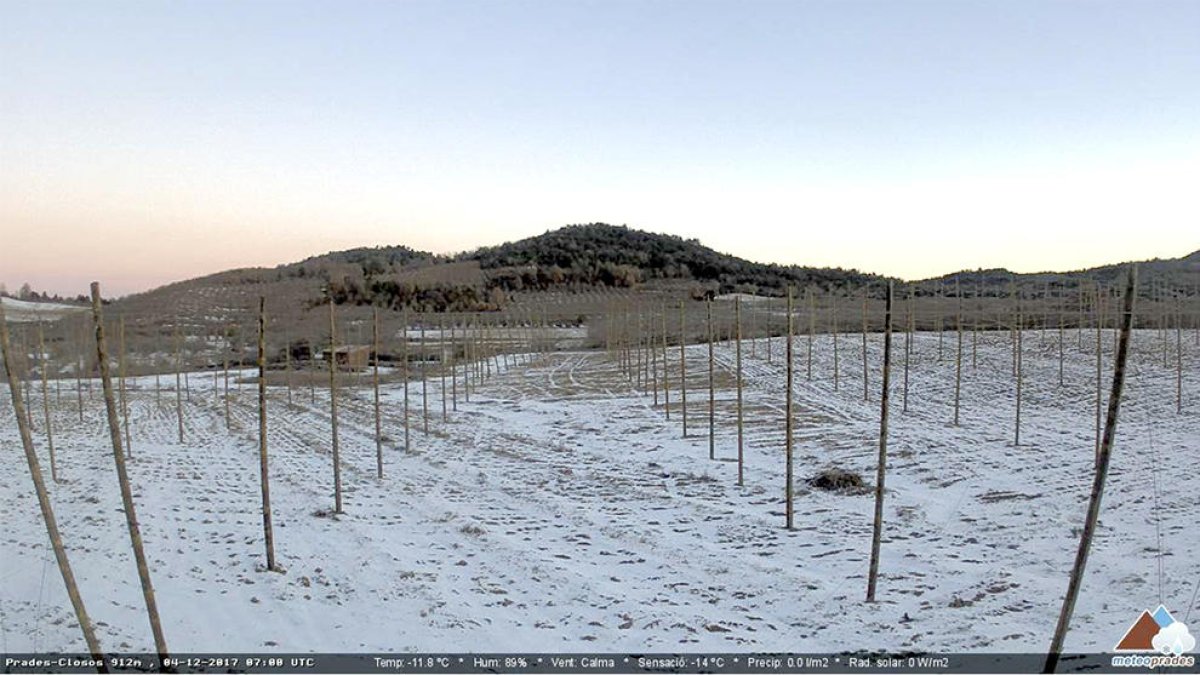 La zona de cultivo de lúpulo en Prades llega a temperaturas de casi 12 grados bajo cero