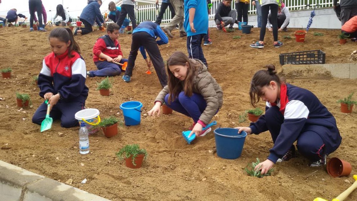 Més de 500 infants celebren el Dia de l'Arbre a l'Hospitalet de l'Infant