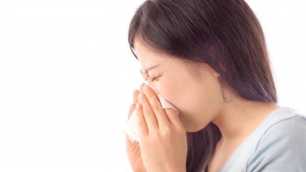 Alt risc d'al·lèrgia per parietària i pi aquesta setmana a Tarragona