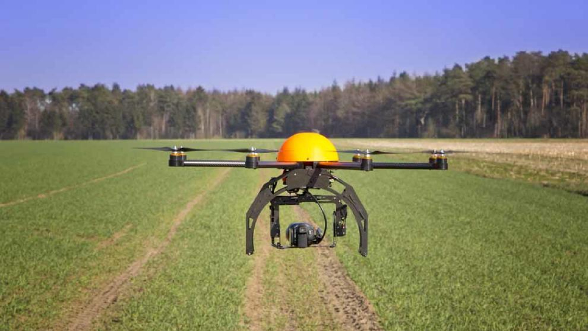 Els drons arriben als camps de cultiu