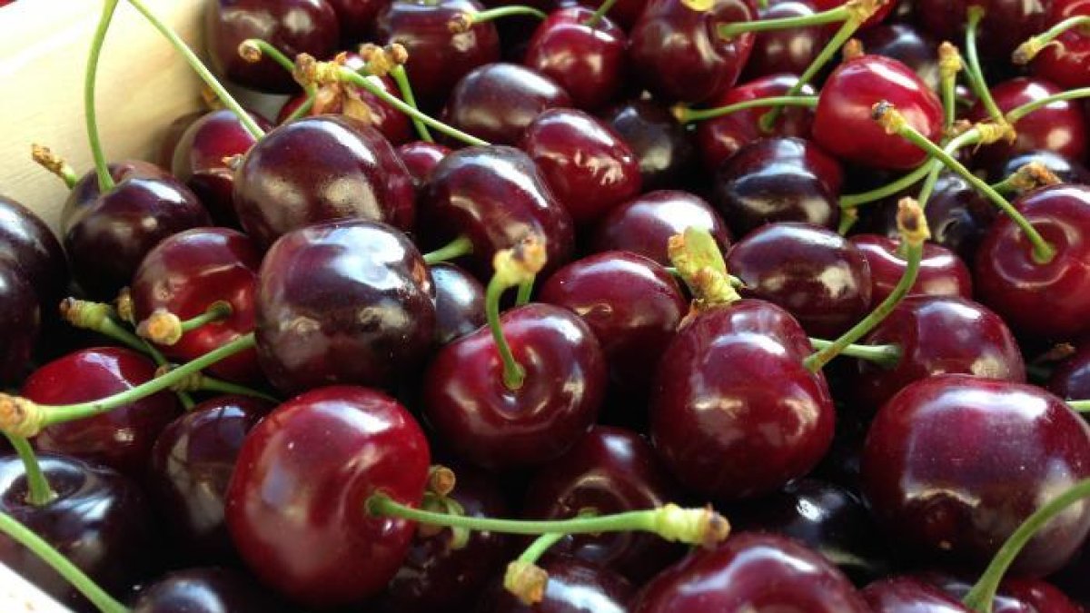 Imagen de archivo de un puñado de cerezas