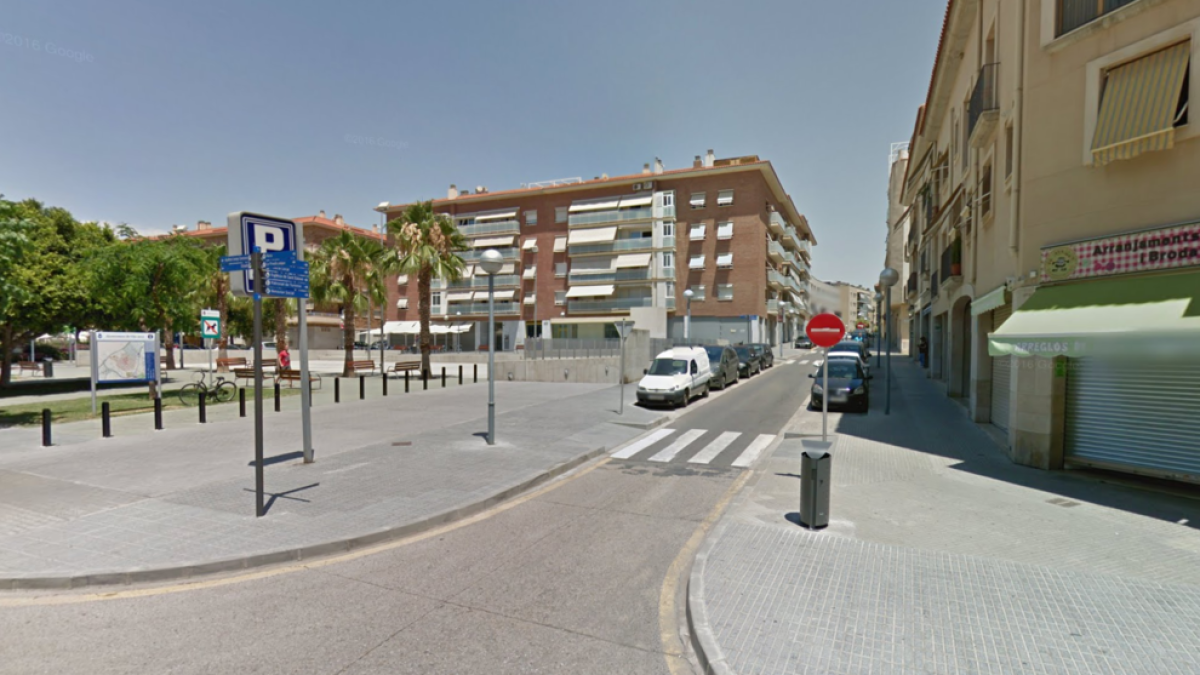 Li demanen mig any de presó per colpejar la gossa de la seva parella a Vila-seca