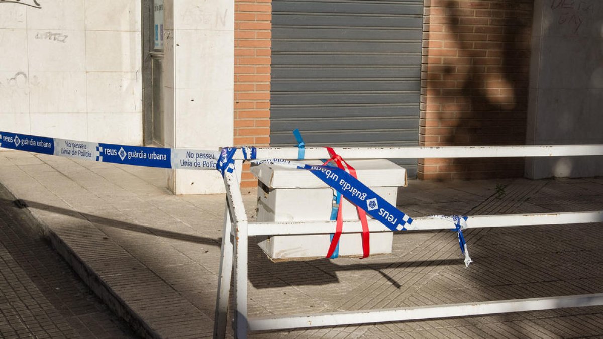 Un enjambre de abejas en el camino de l'Aleixar asusta a los vecinos