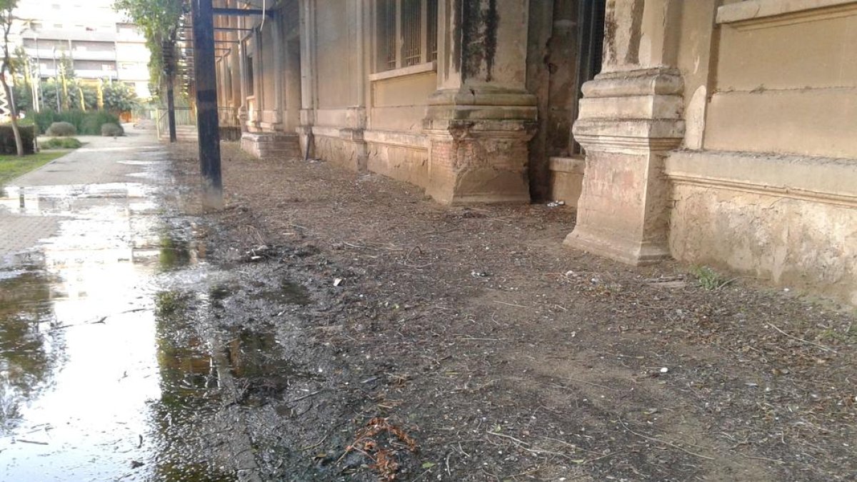 El terra del Jardí Vertical de Tarragona acumula excrements de colom, aigua i fulles