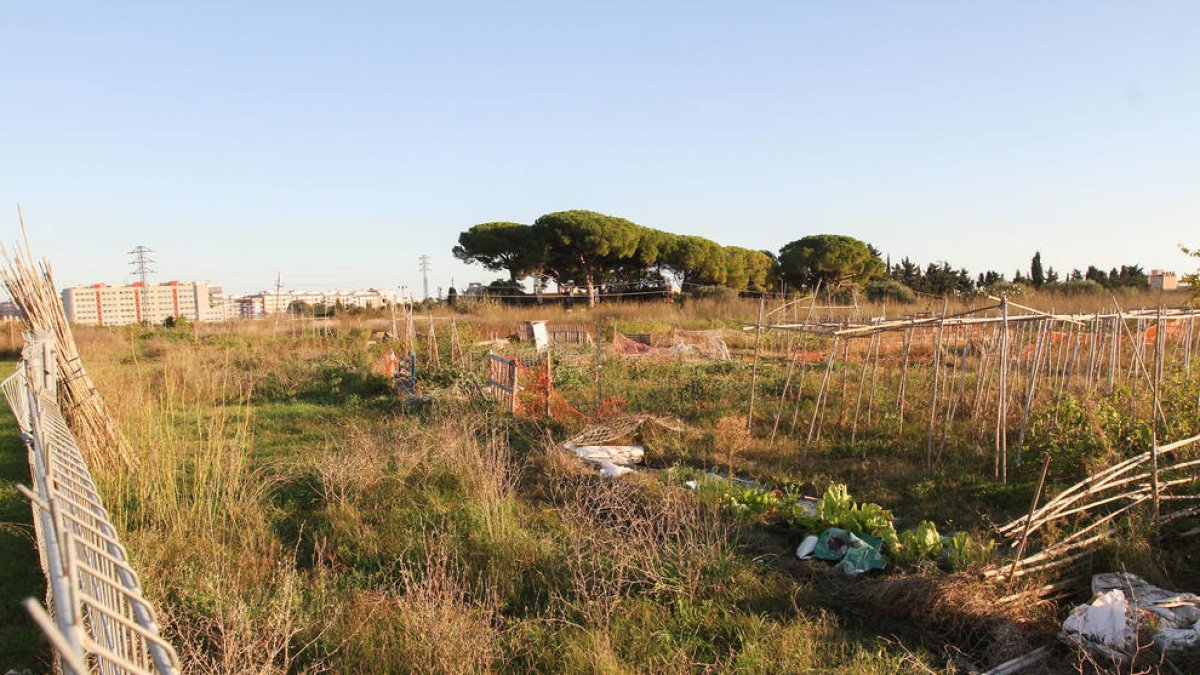 Los huertos urbanos de Reus de Sol i Vista se reubicarán fuera de terrenos de Rellsa
