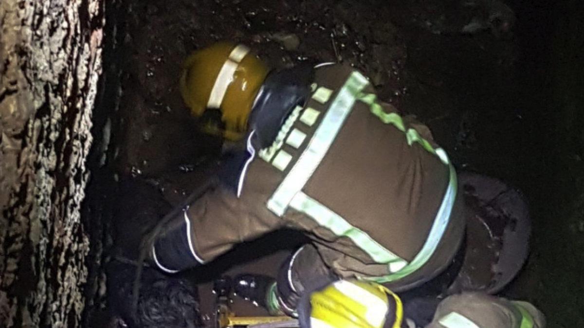 Rescaten un gos i un gat de l'interior d'un pou a l'Aldea