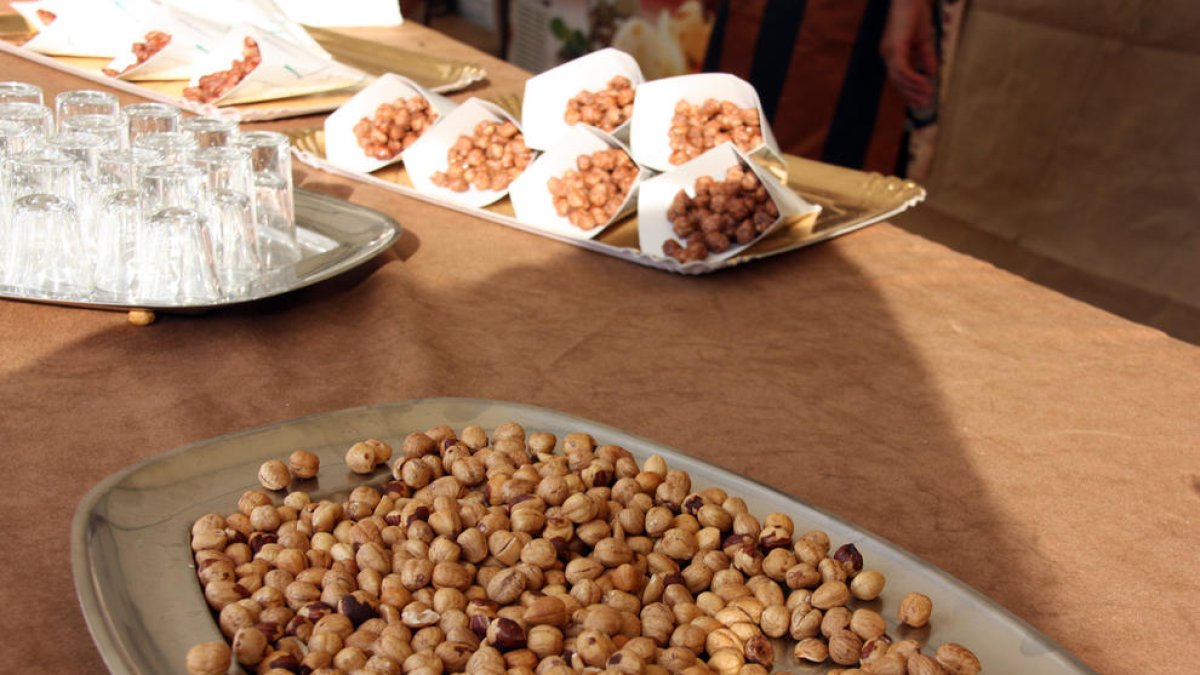 La avellana vuelve a ser la protagonista de Riudoms