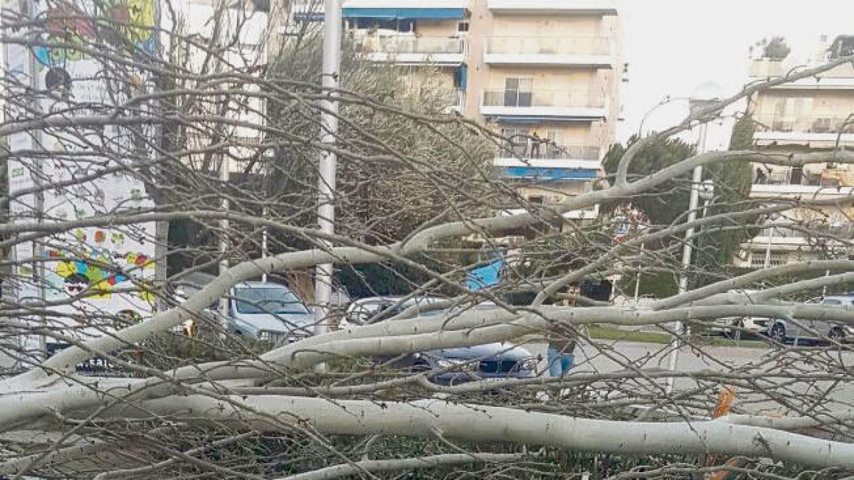 Dos ferits greus per la caiguda d'un arbre a Salou