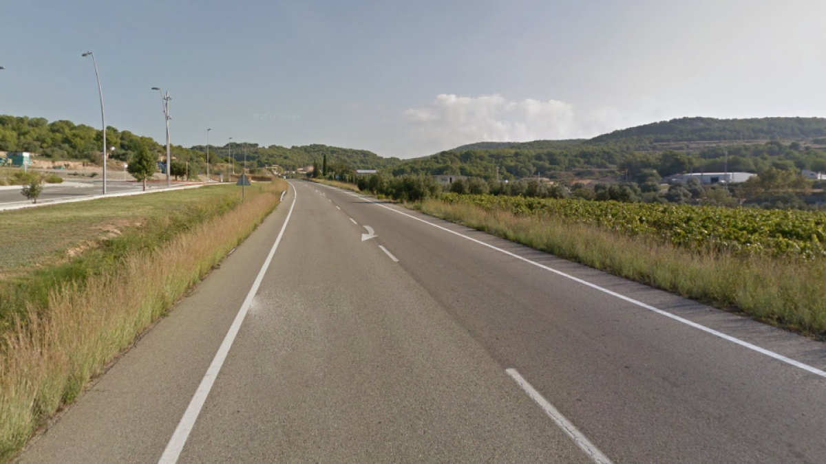 Un turisme xoca amb un porc senglar a Calafell sense causar ferits