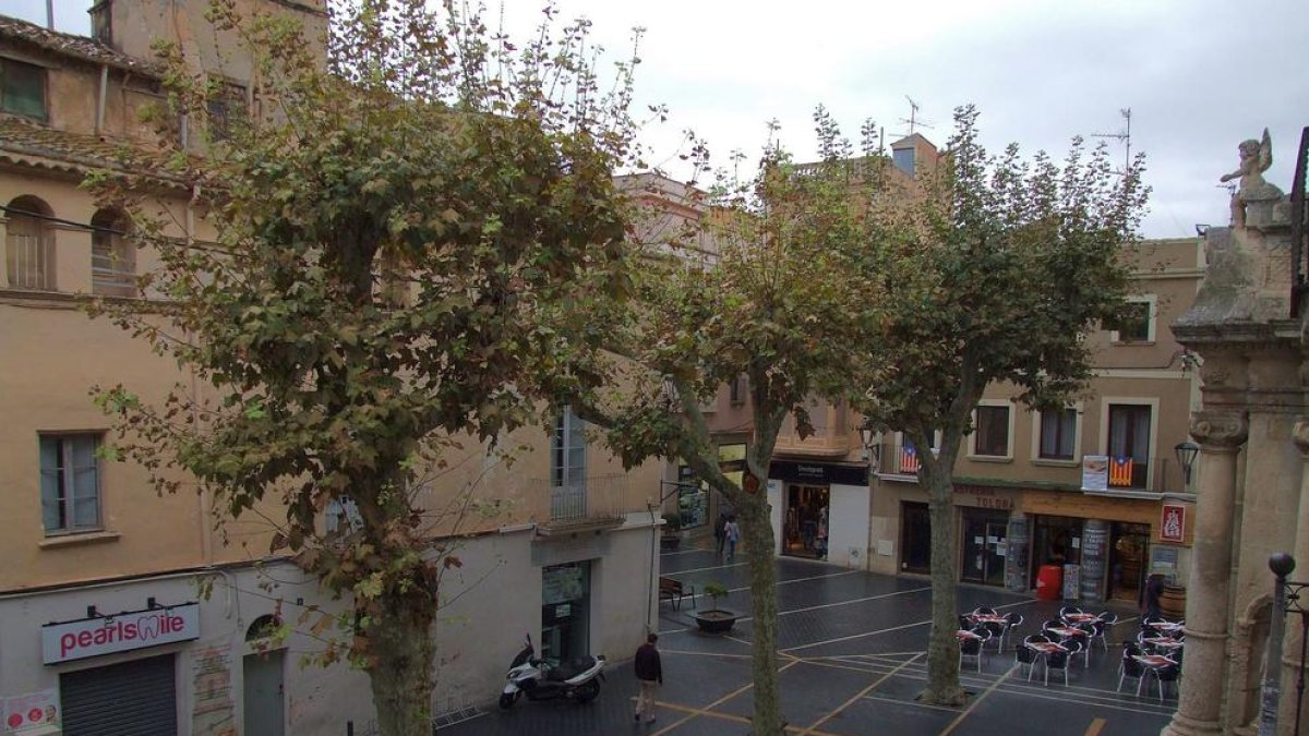 L'anunci de la Jove de Tarragona obliga a accelerar la retirada dels arbres de la plaça Vella