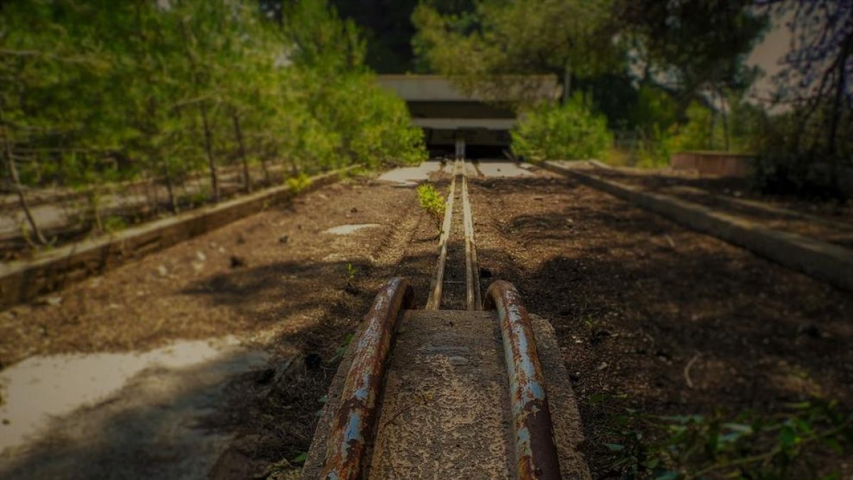 La naturaleza se apodera de la bolera de la Ciudad Residencial
