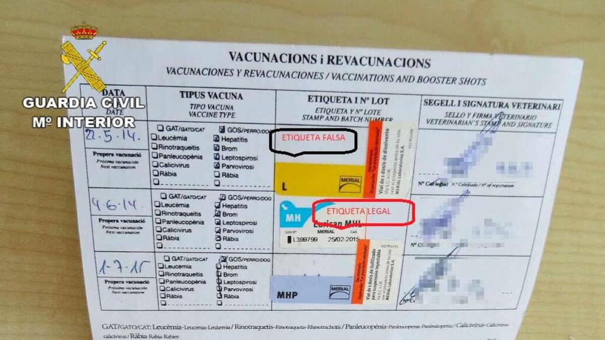 Investigada una dona del Baix Penedès que exercia de veterinària sense titulació ni formació