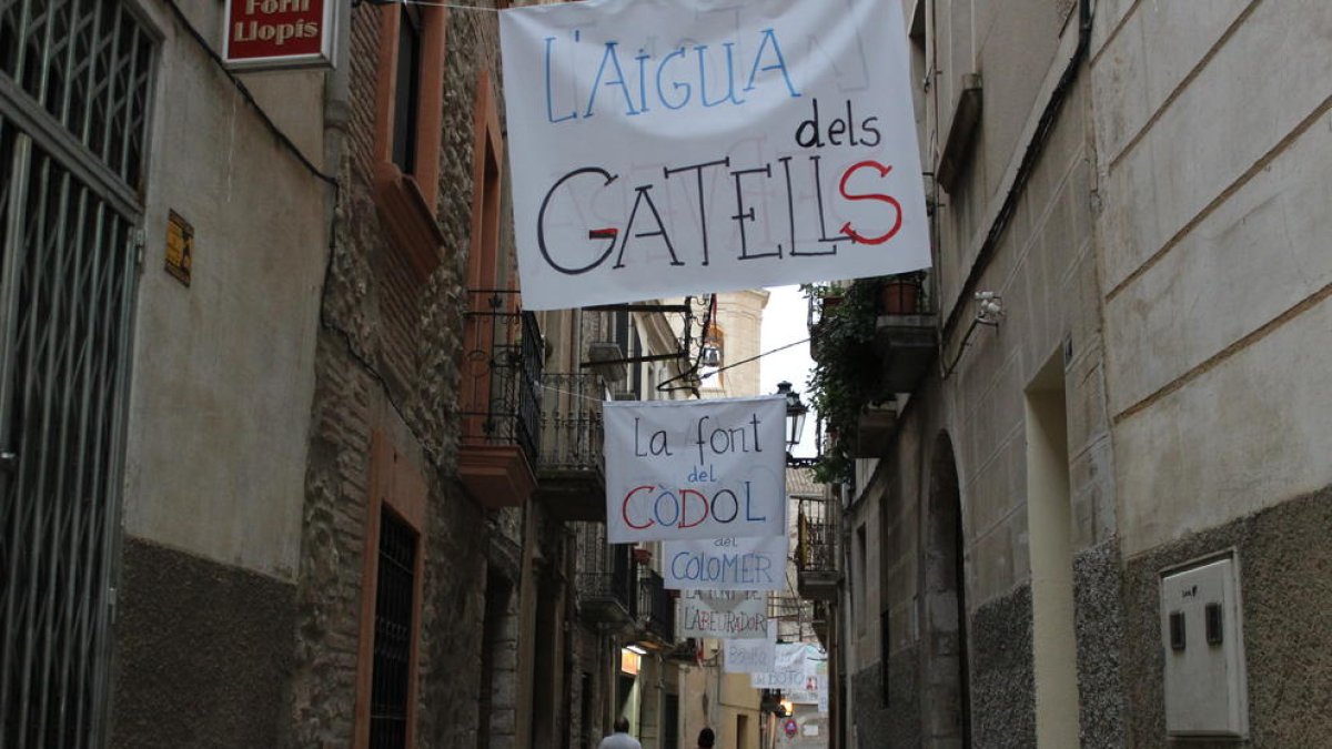 Palabras de agua que reivindican el hablar de Alforja