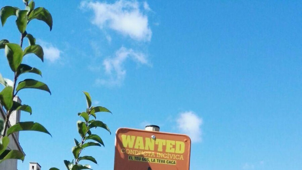 Los vecinos reclaman papeleras para los excrementos de perro en Vilafortuny