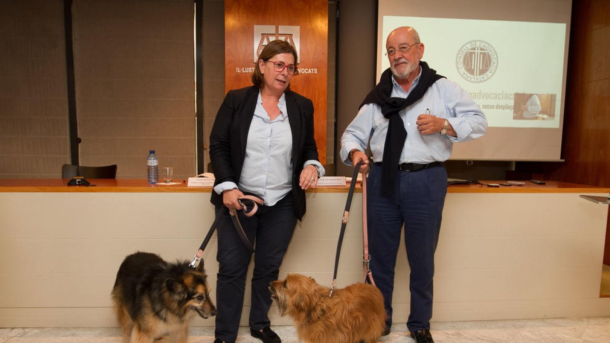 «Es denuncia poc el maltractament animal i cal educar en el respecte»