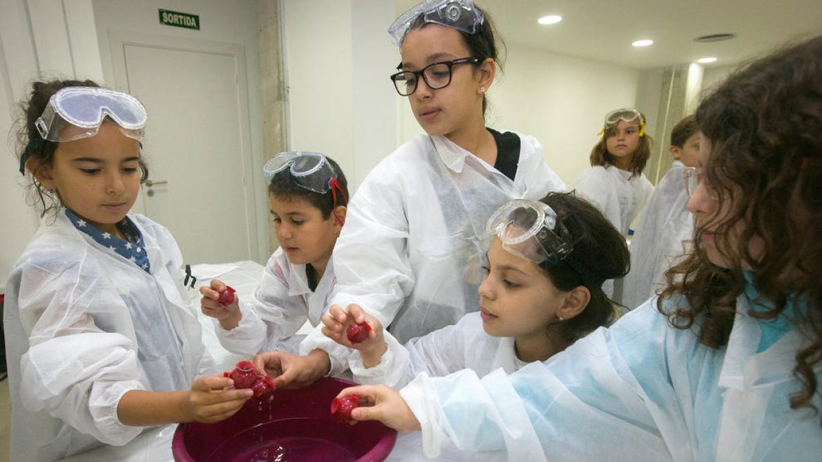 Más de 700 alumnos participarán en los Talleres científicos de Fundación Repsol