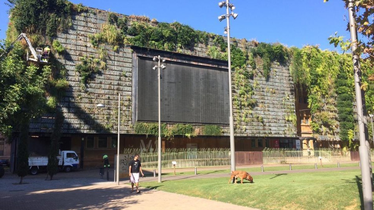 Tarragona Impulsa convoca los Premios Empresa para proyectos innovadores