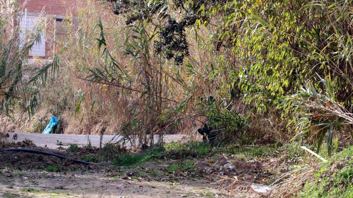 Los Mossos evitan vincular las armas encontradas a Mont-roig del Camp en octubre con el cadáver localizado este miércoles