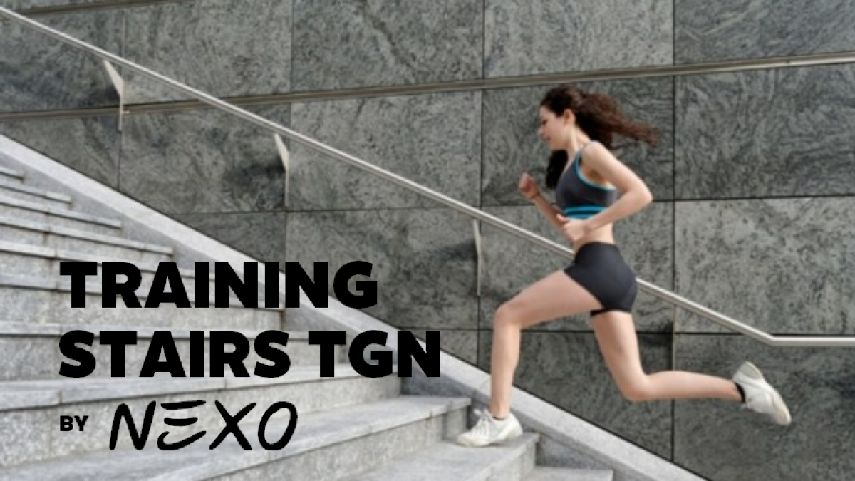 Les escales del Palau Firal com a escenari d'entrenament