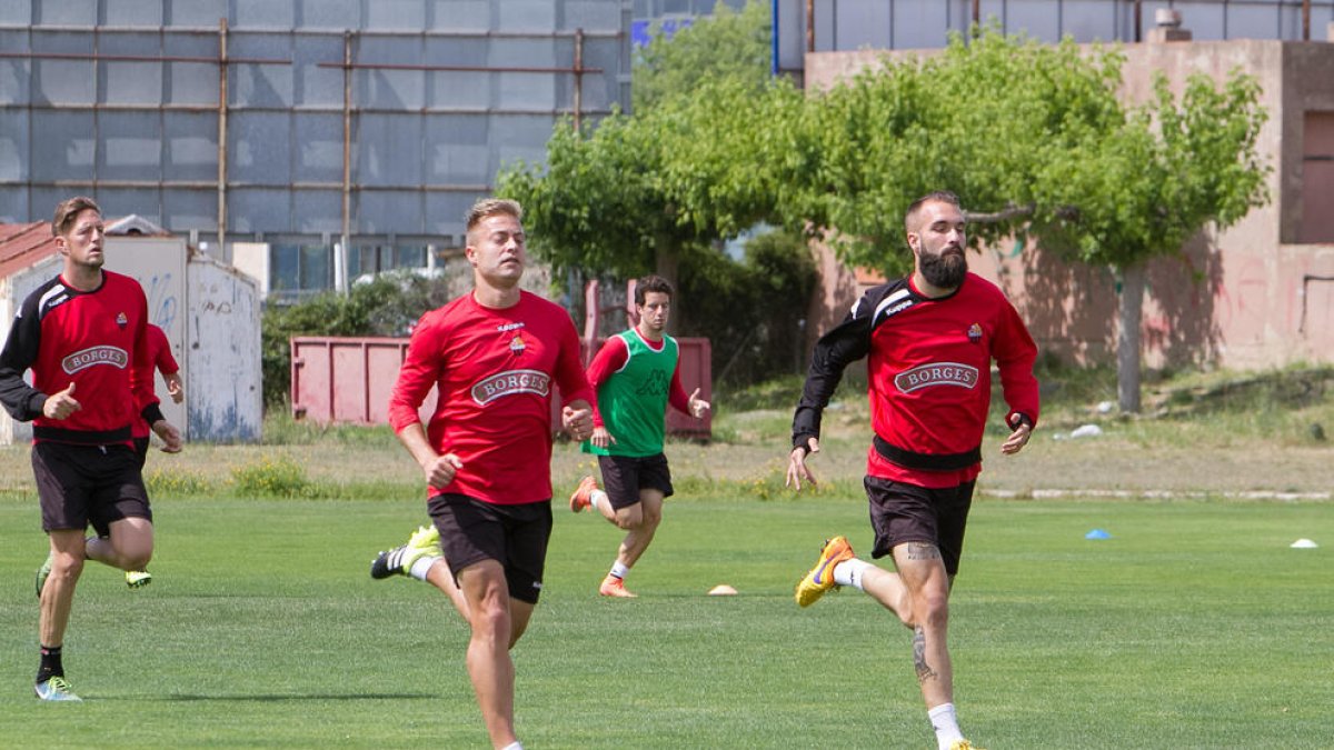 La columna vertebral, definida