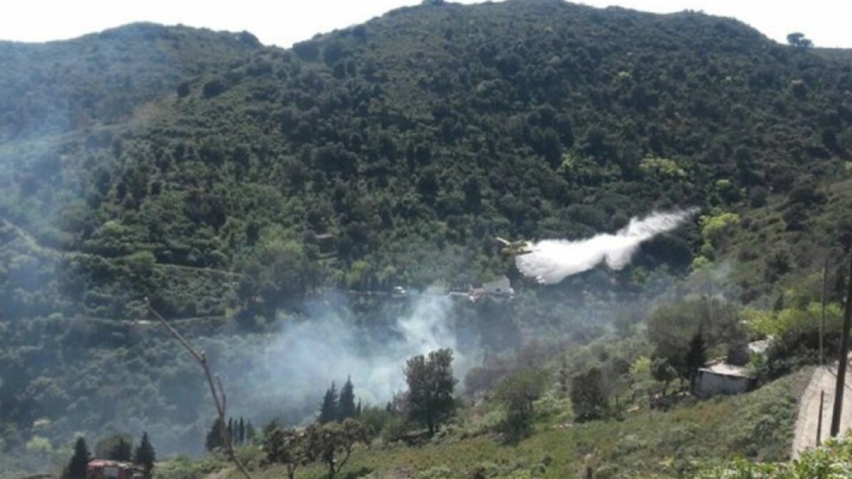 Sis dotacions de Bombers treballen per apagar un incendi a la Selva del Camp