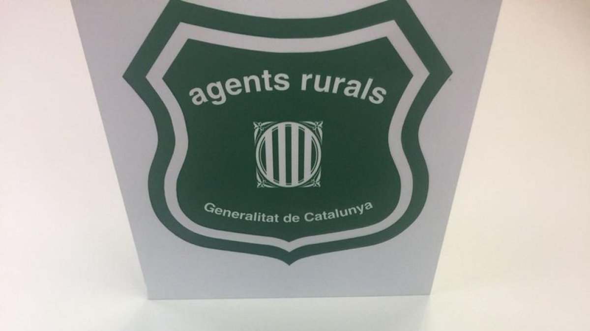 Terra Alta, protegides, espècies, Agents Rurals, tord, caçar, denunciar, llosa