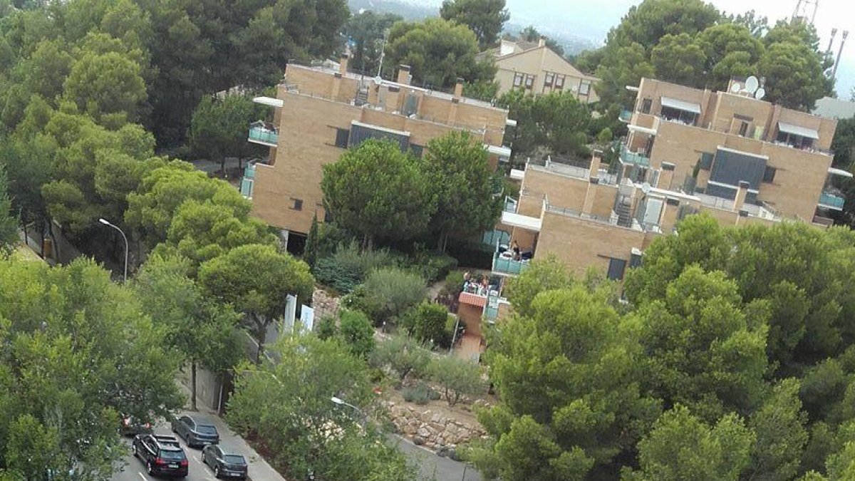 Les molèsties pel tall de Carles Buïgas incrementen durant l'agost