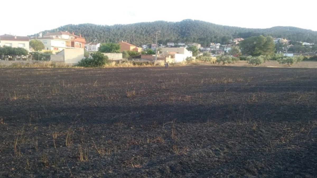 Un incendio quema 1,7 ha de vegetación agrícola en Albinyana