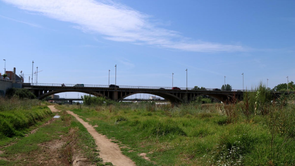 Ecologistas en Acción quiere recuperar el caudal ecológico del río Francolí y la revegetación del tramo urbano