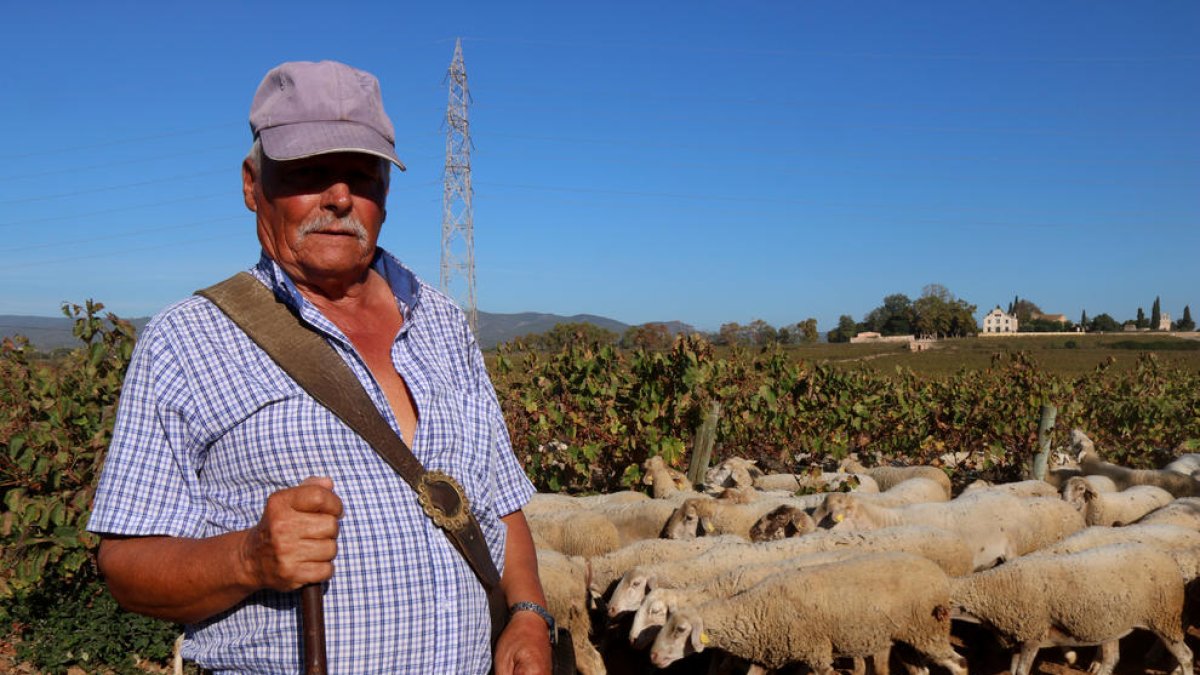 Un pastor recorre 60 km para recuperar un camino ganadero entre Santa Coloma de Queralt y Cunit