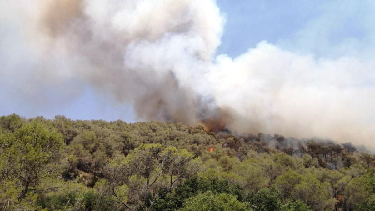 Detingut un jove i denunciada una menor per provocar incendis al Garraf