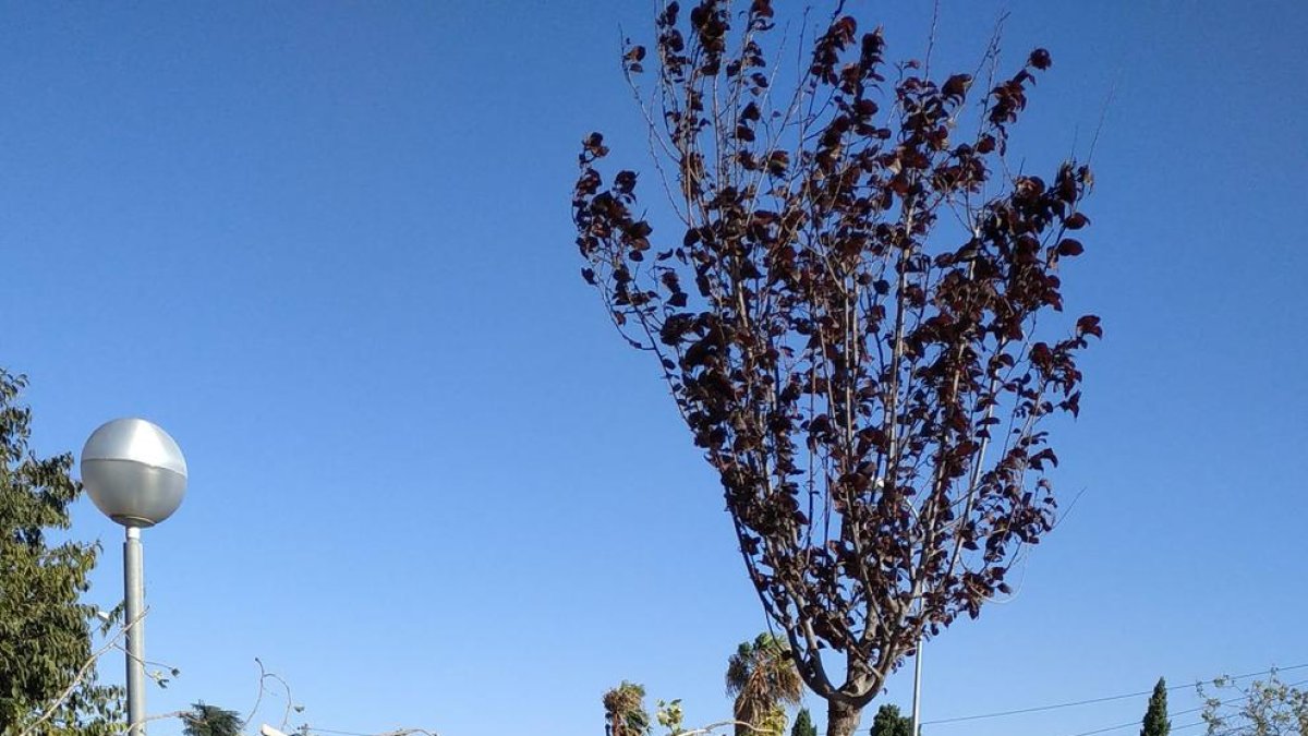 Protección Civil desactiva la alerta del plan Ventcat