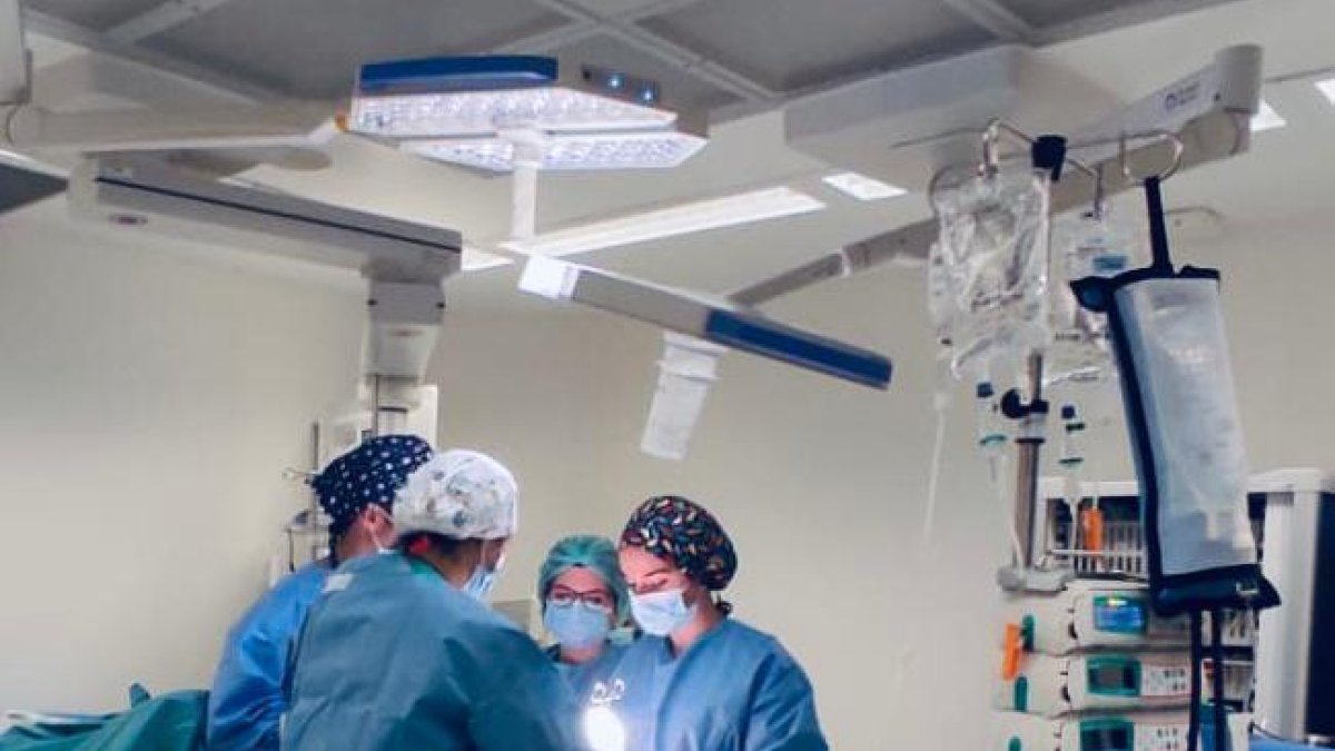 Investigadors tarragonins determinen que un dels fàrmacs per a pacients de Crohn restaura el greix de l'intestí danyat