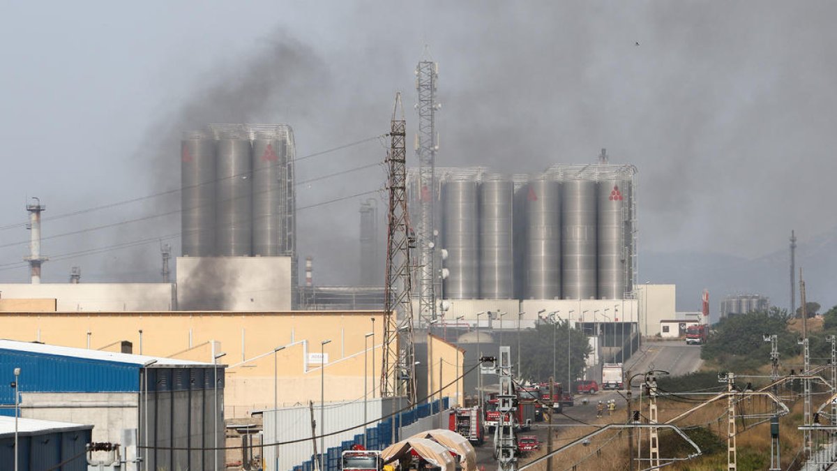 Territori dice que detectó concentraciones mínimas de amoníaco por el incendio de Miasa